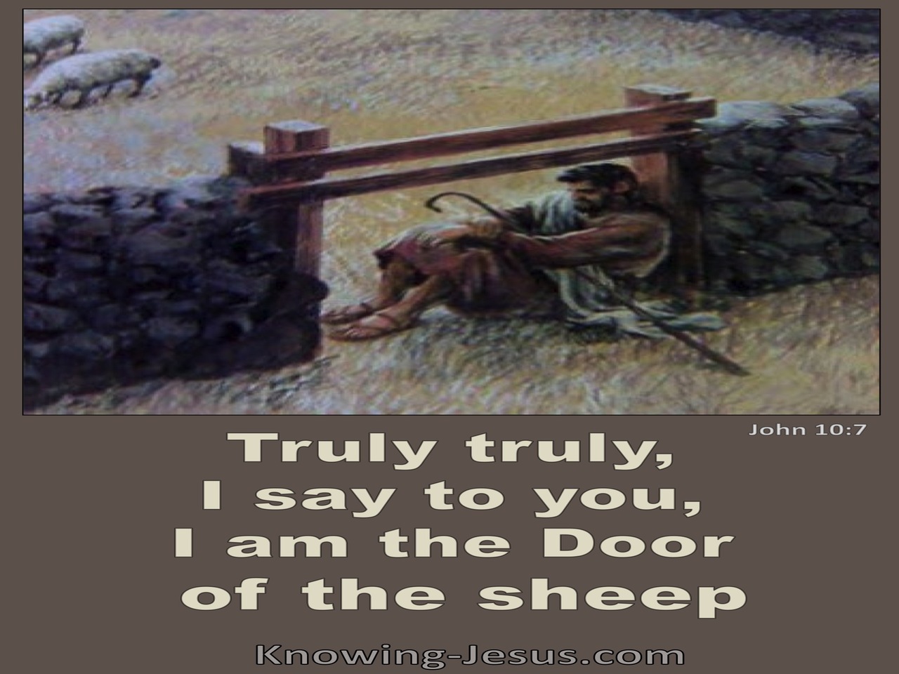 John 10:7 Jesus Said I Am The Door Of The Sheep (brown)